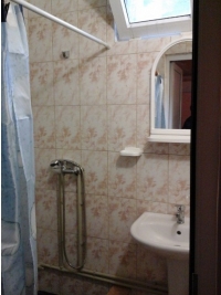 Дельфин 11.jpg