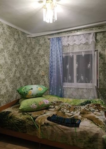 Барбарис 13.jpg