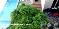 Белый парус 6.jpg