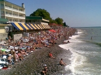 панда 222.jpg