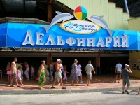 панда 444.jpg