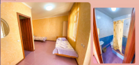 лиза 2.PNG