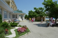 панс. ФЕЯ10.jpg