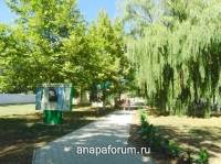БО Чайка25