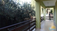 ГД Орхидея14